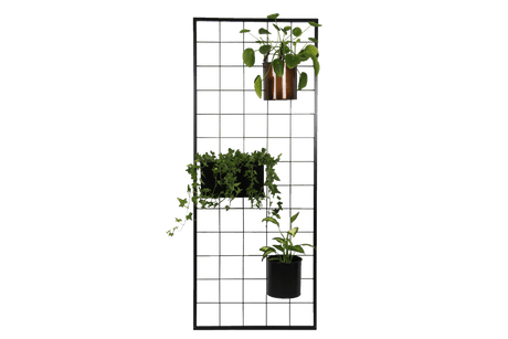 Fiona black plant box for wall grid 14 x 14 / 17 x 17 cm