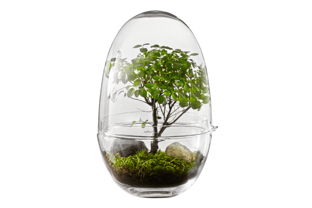 Grow Greenhouse Design House Stockholm