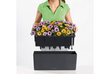 Balconera balcony flower box with self watering system 50 cm