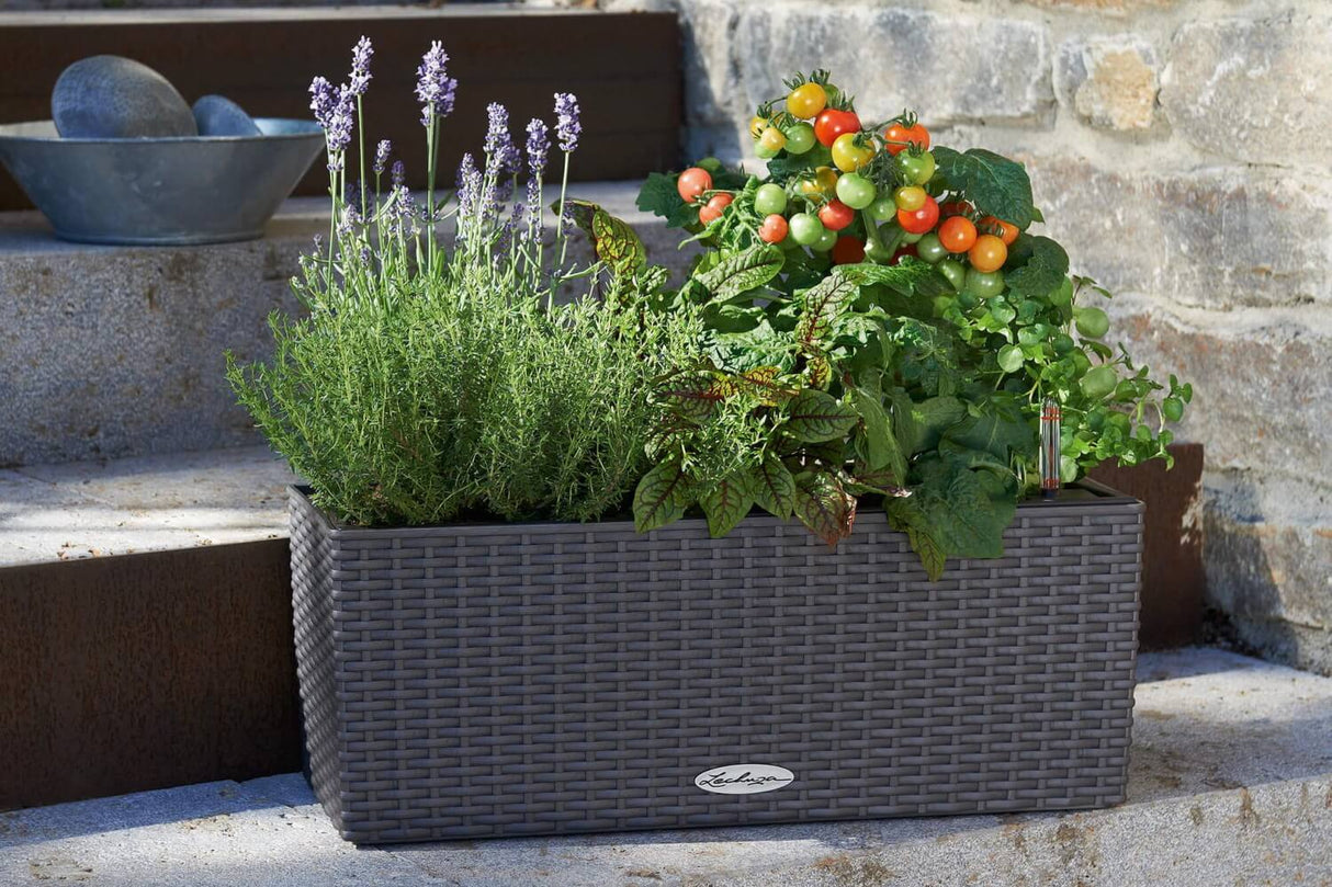 Cottage balcony flower box with self watering system 50 cm