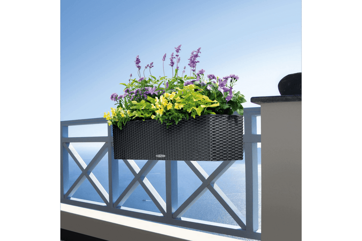 Cottage balcony flower box with self watering system 80 cm