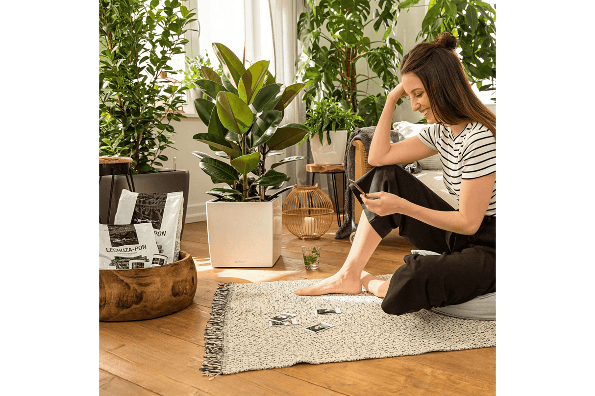 Pon plant nutrition 3 L / 6 L