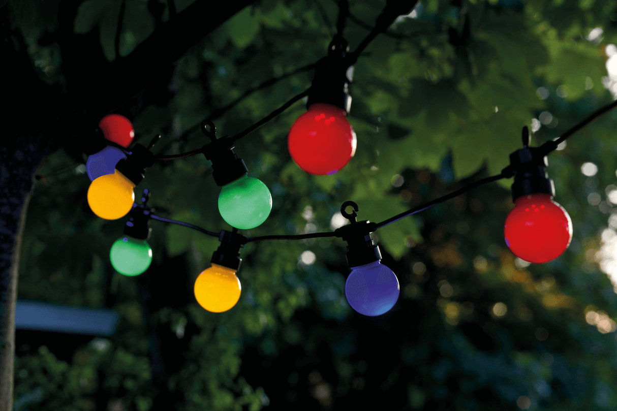 Lucas starter kit 10 coloured light bulbs