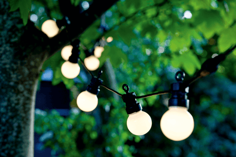 Lucas starter kit 10 matt light bulbs