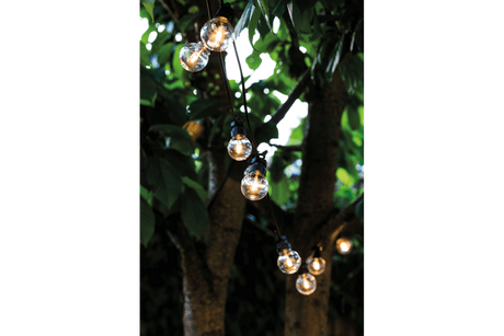 Lucas starter kit 10 clear light bulbs