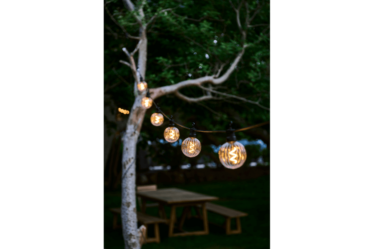 Luke starter kit 10 clear light bulbs