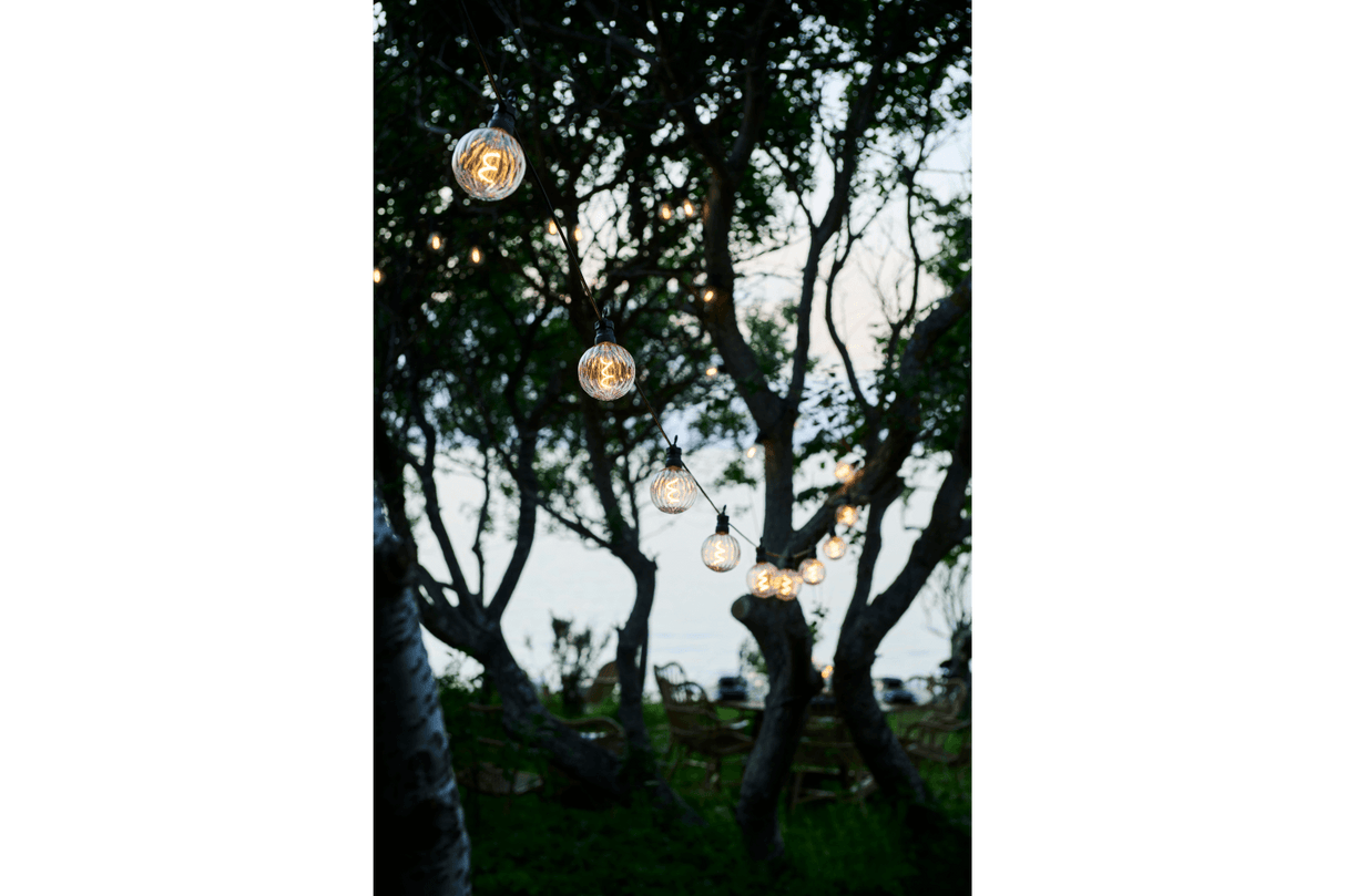 Luke supplement kit 10 clear light bulbs