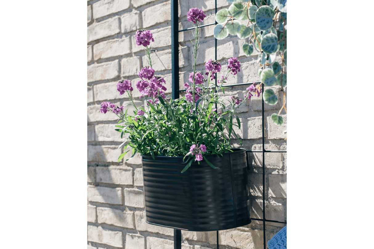 Ovalina Rillo black plant box for wall grid 30 x 17 cm