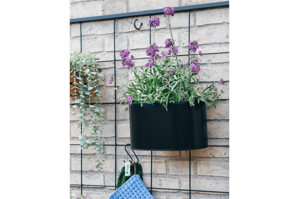 Ovalina black plant box for wall grid 30 x 17 cm