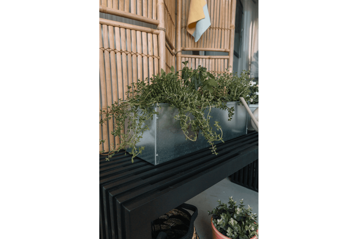 Sofie zinc balcony flower box without bracket 60 cm