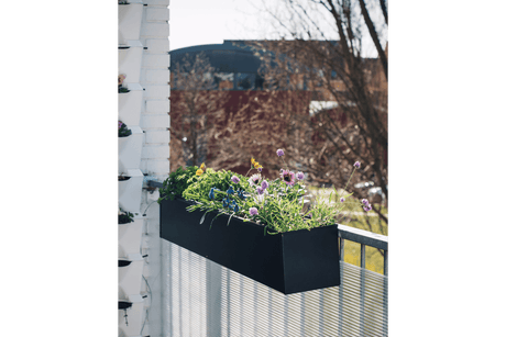 Sofie black balcony flower box 60 / 80 cm