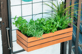 Mille teak plant box for wall grid 50 x 21 cm