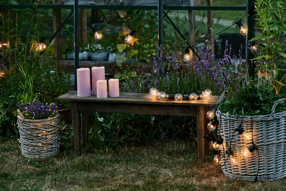 Tobias starter kit 10 clear light bulbs