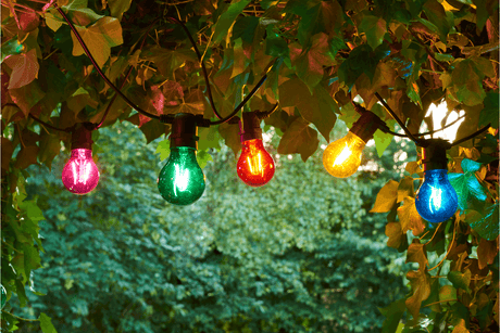 Tobias starter kit 10 coloured light bulbs