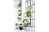 Vertical hanging flowerpots for wall and ceiling